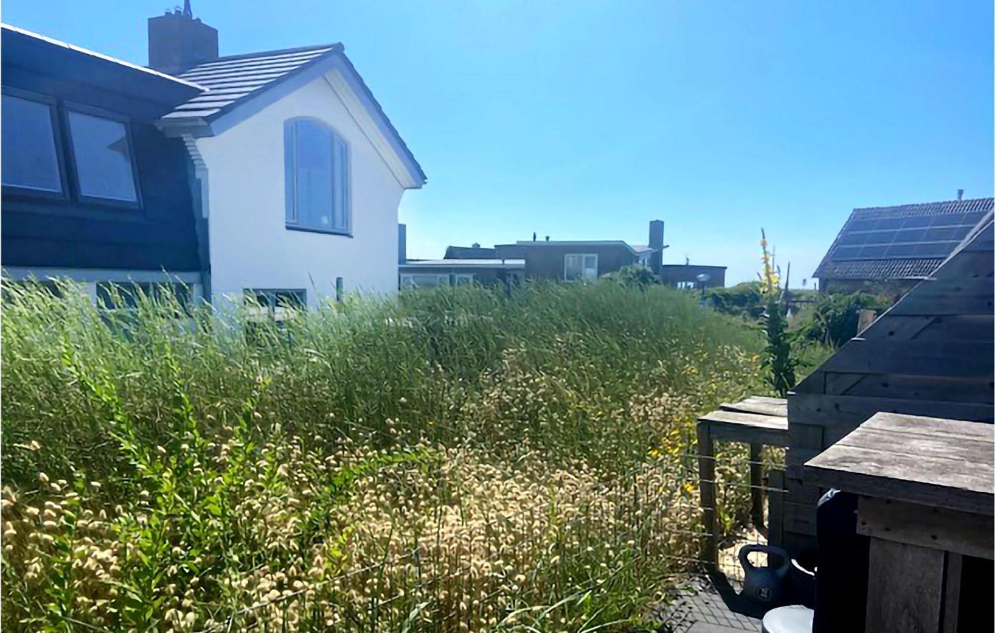 De Duinparel Διαμέρισμα Bergen aan Zee Εξωτερικό φωτογραφία